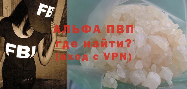 стаф Елизово