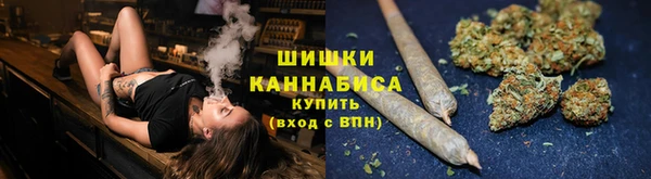 ГАЛЛЮЦИНОГЕННЫЕ ГРИБЫ Заводоуковск