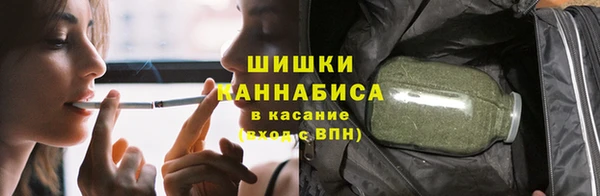 ПСИЛОЦИБИНОВЫЕ ГРИБЫ Елабуга