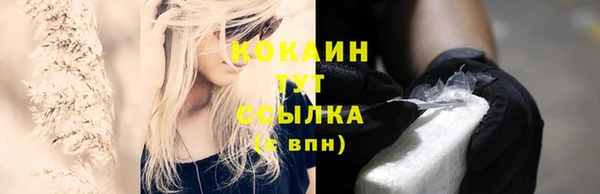 ПСИЛОЦИБИНОВЫЕ ГРИБЫ Елабуга