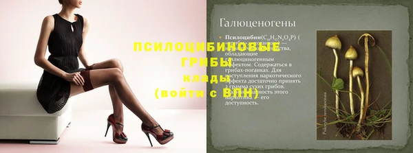 стаф Елизово