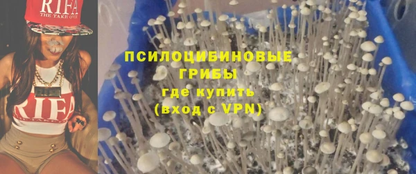 бутират Ельня