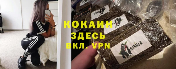 стаф Елизово
