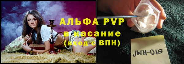 ПСИЛОЦИБИНОВЫЕ ГРИБЫ Елабуга