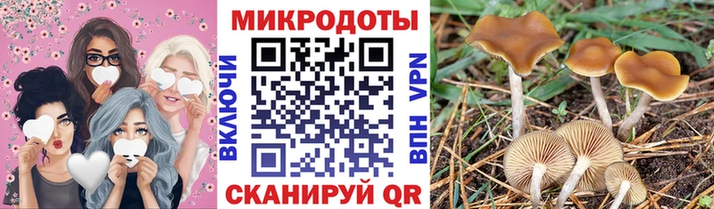 Псилоцибиновые грибы Cubensis  Купить где  Емва 